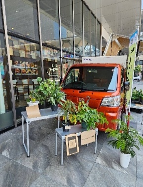 『Nibako』と一緒に並べられた観葉植物