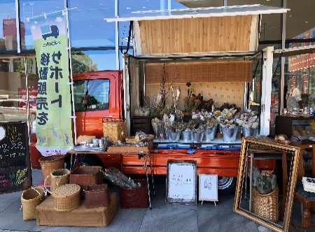 植物や雑貨を並べた『Nibako』の出店